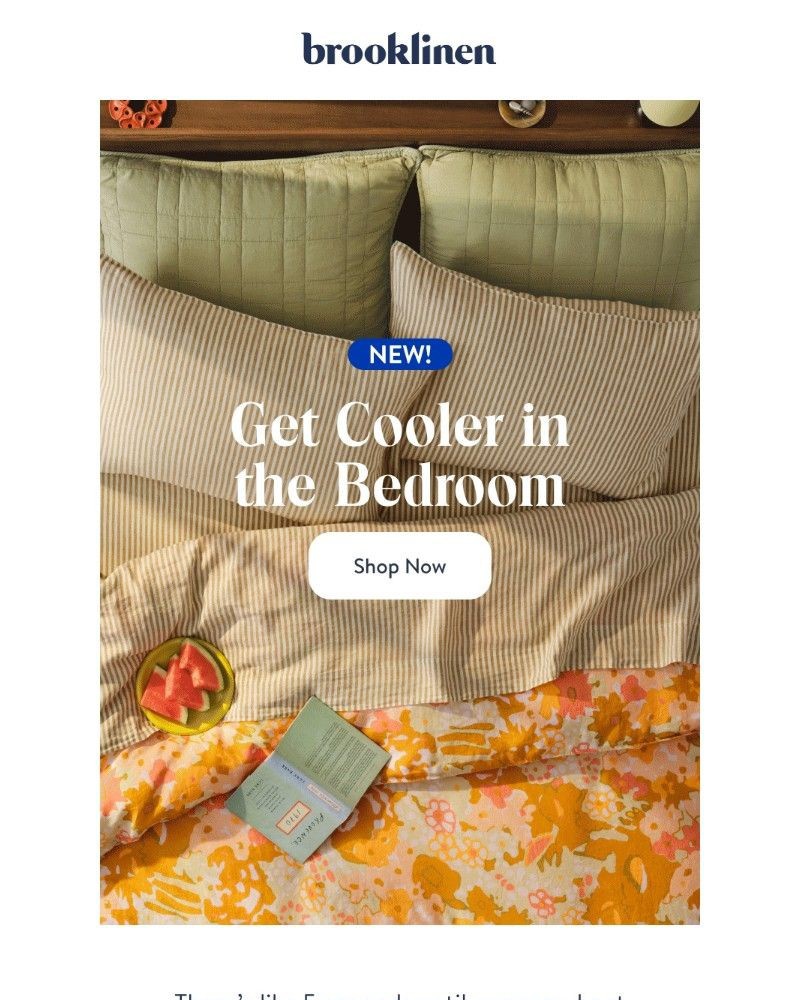 Screenshot of email with subject /media/emails/how-to-look-cooler-in-the-bedroom-d58fc3-cropped-1e200ec4.jpg