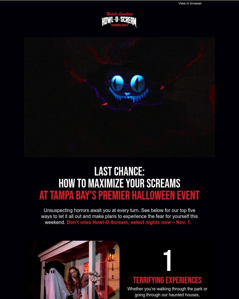 Screenshot of email with subject /media/emails/how-to-maximize-your-screams-9fe544-cropped-0aaa366b.jpg