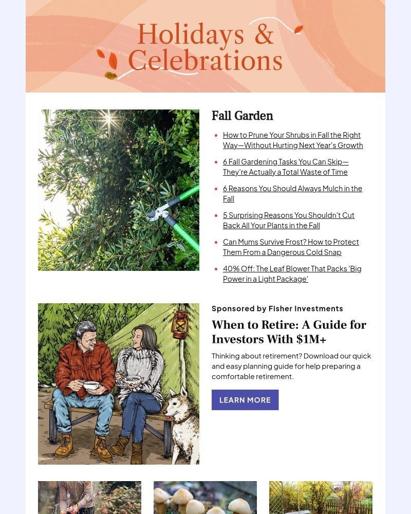 Screenshot of email with subject /media/emails/how-to-prune-your-shrubs-in-fall-the-right-way-2e2d70-cropped-67be3065.jpg
