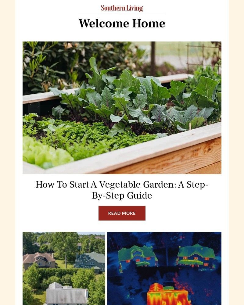 Screenshot of email with subject /media/emails/how-to-start-a-vegetable-garden-a-step-by-step-guide-99ee6c-cropped-9687bed1.jpg