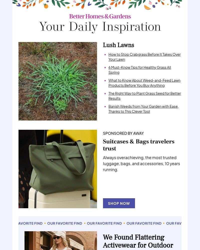 Screenshot of email with subject /media/emails/how-to-stop-crabgrass-before-it-takes-over-276aa2-cropped-6bdb2855.jpg