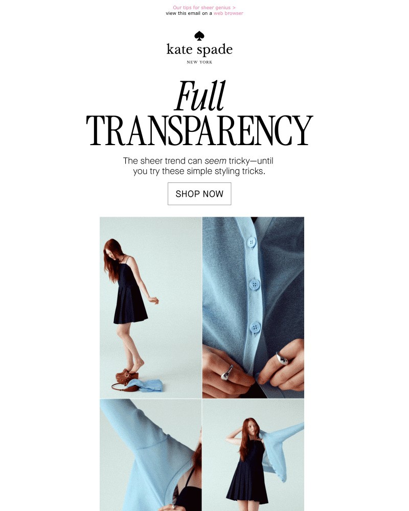 Screenshot of email with subject /media/emails/how-to-style-springs-sheer-trend-9c8aaf-cropped-ec845bf8.jpg