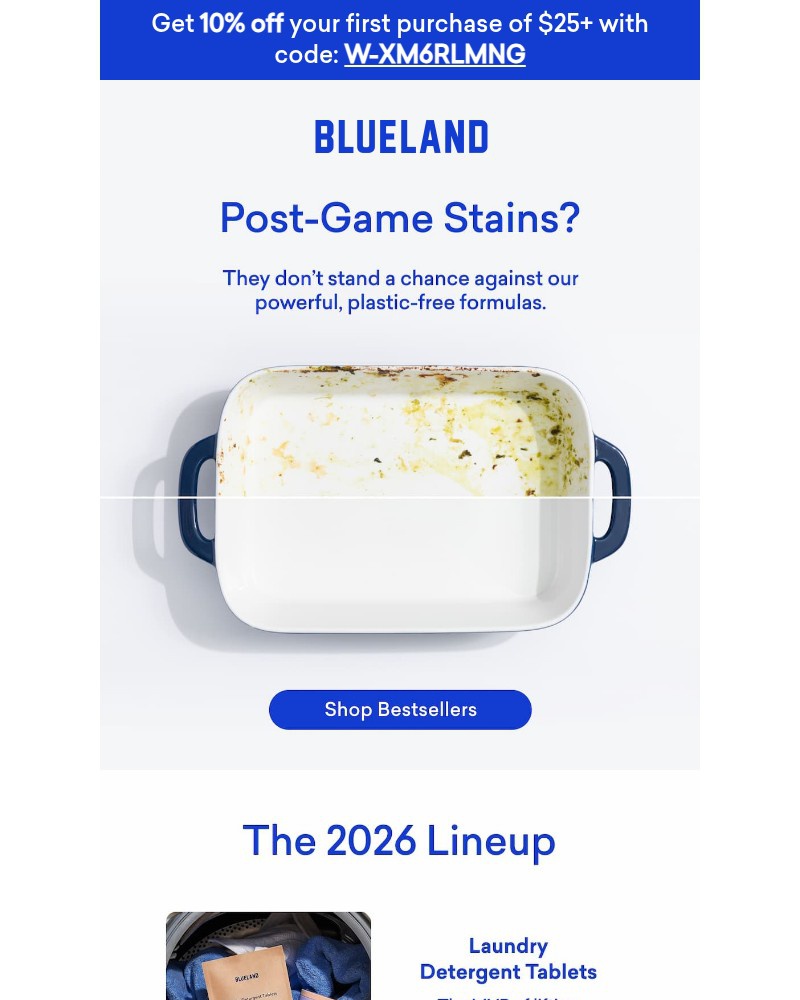 Screenshot of email sent to a Blueland Newsletter subscriber