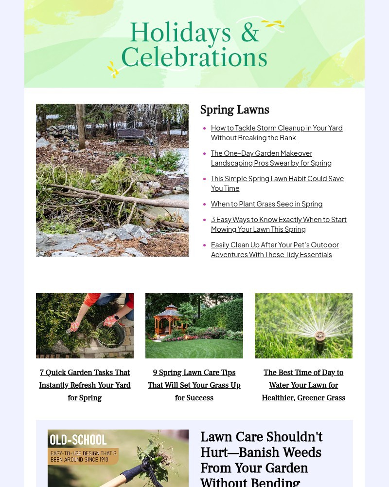 Screenshot of email with subject /media/emails/how-to-tackle-storm-cleanup-in-your-yard-b94e8d-cropped-f10631f6.jpg