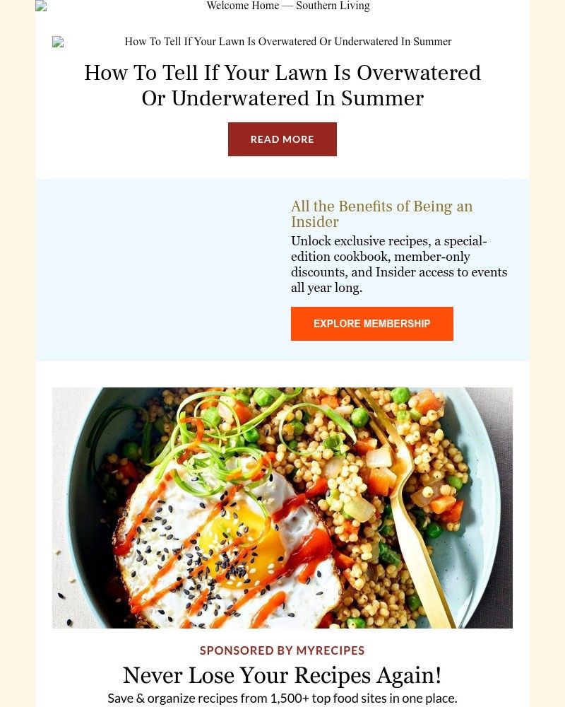 Screenshot of email with subject /media/emails/how-to-tell-if-your-lawn-is-overwatered-or-underwatered-in-summer-23dd51-cropped-7e5ddb8d.jpg