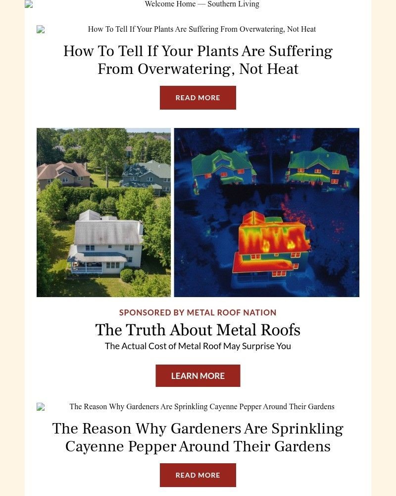 Screenshot of email with subject /media/emails/how-to-tell-if-your-plants-are-suffering-from-overwatering-not-heat-a5aadd-croppe_NidBVrc.jpg