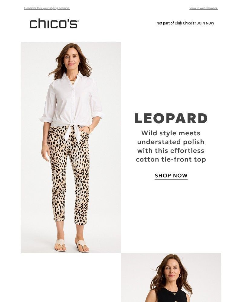 Screenshot of email with subject /media/emails/how-to-wear-brigitte-this-summer-a1a0e2-cropped-6313bc17.jpg
