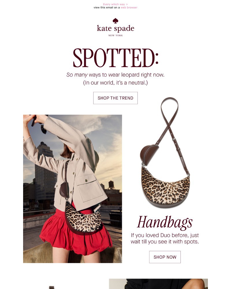 Screenshot of email with subject /media/emails/how-to-wear-leopard-right-now-02feec-cropped-15781b65.jpg