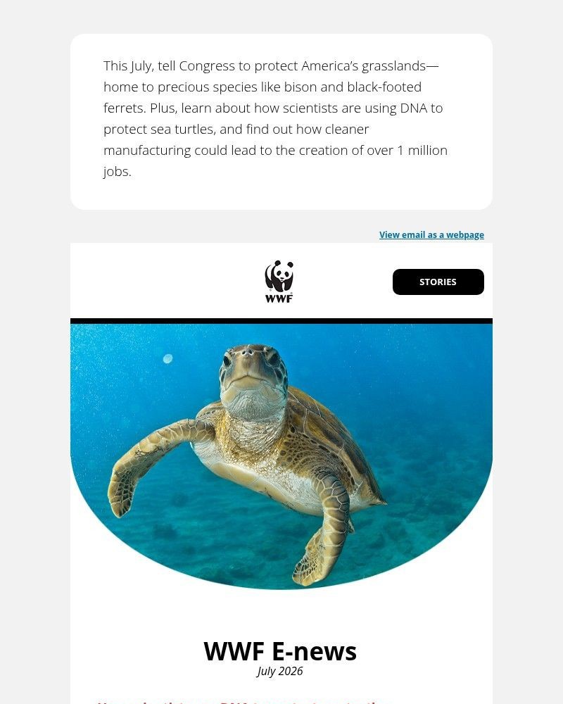 Screenshot of email sent to a World Wildlife Fund Newsletter subscriber