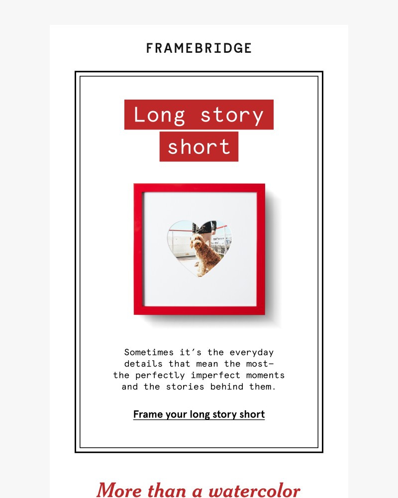 Screenshot of email with subject /media/emails/how-youre-framing-your-long-stories-short-b324c7-cropped-e9b6e90d.jpg