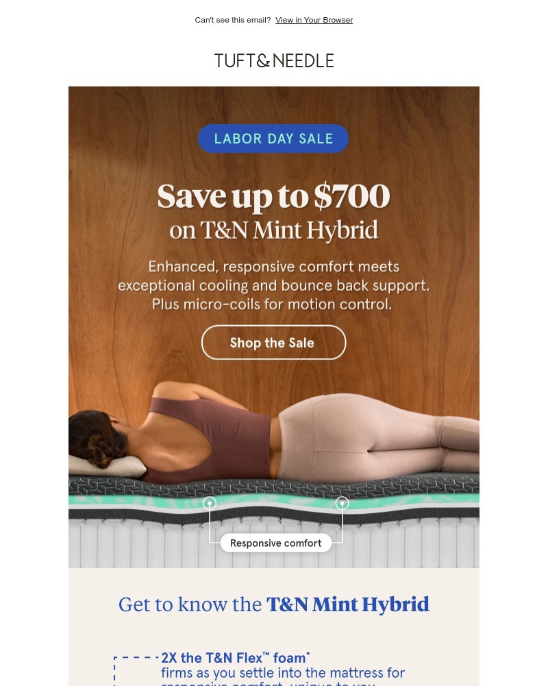 Screenshot of email with subject /media/emails/huge-news-27-off-tn-mint-hybrid-5473e4-cropped-f5a302b9.jpg