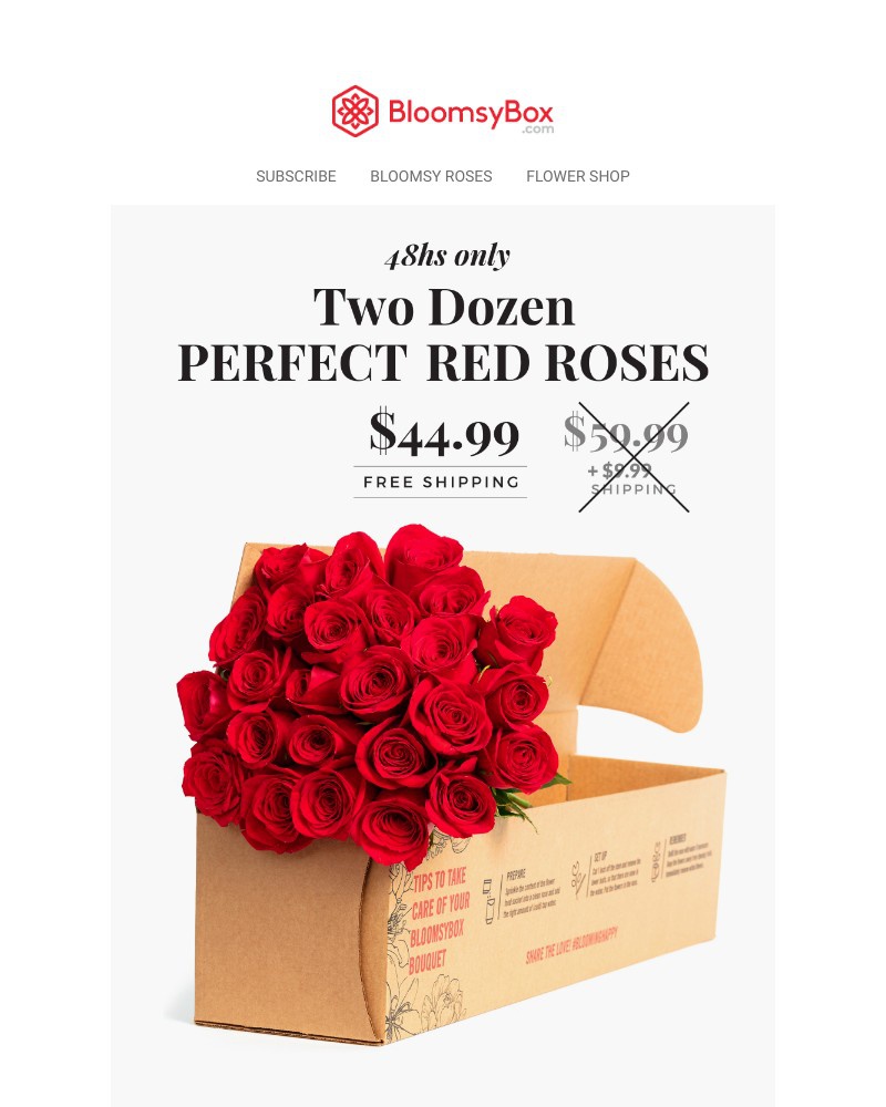 Screenshot of email with subject /media/emails/huge-red-roses-sale-48-hours-only-8e44ac-cropped-6b31954e.jpg