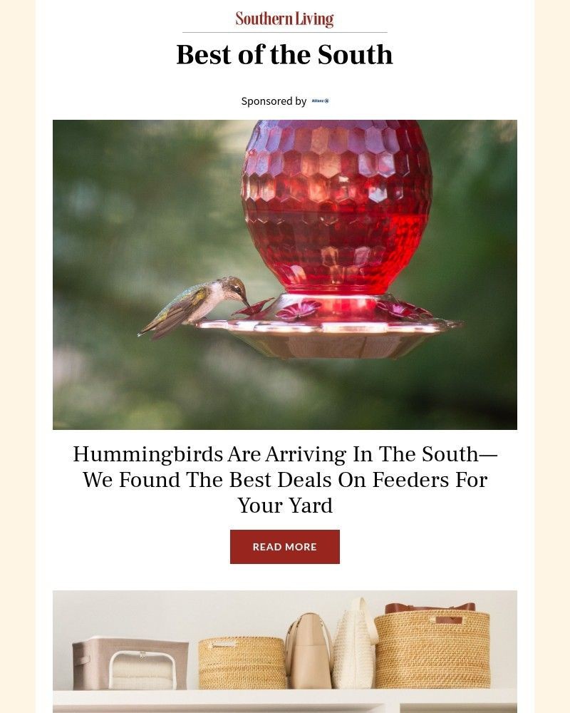 Screenshot of email with subject /media/emails/hummingbirds-are-arriving-in-the-southwe-found-the-best-deals-on-feeders-2923b5-c_qX0u39e.jpg