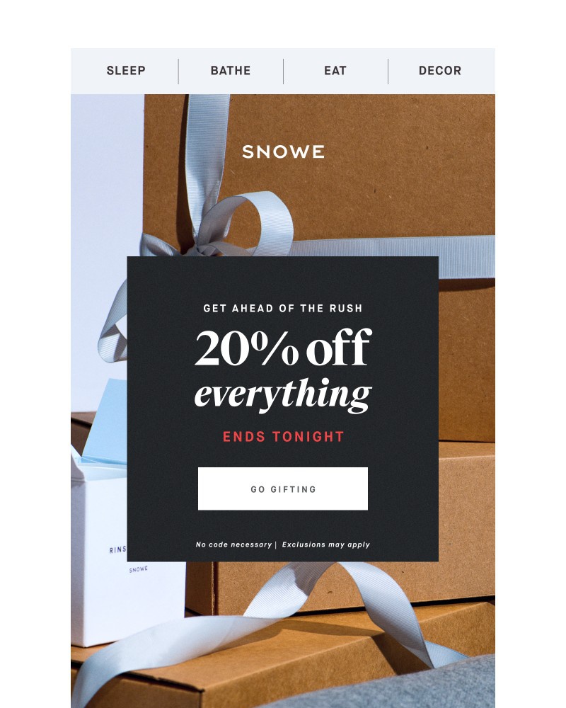 Screenshot of email sent to a Snowe Newsletter subscriber