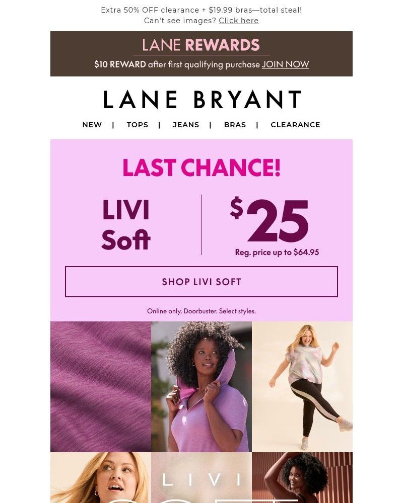 Screenshot of email sent to a Lane Bryant Newsletter subscriber