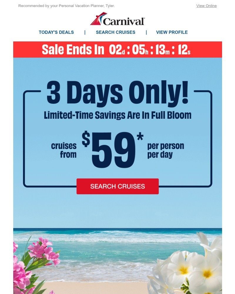 Screenshot of email with subject /media/emails/hurry-59-cruises-per-person-per-day-1178c6-cropped-7a917e5b.jpg