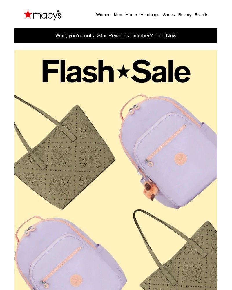 Screenshot of email with subject /media/emails/hurry-flash-sale-50-65-off-handbags-more-eec462-cropped-70dcb983.jpg