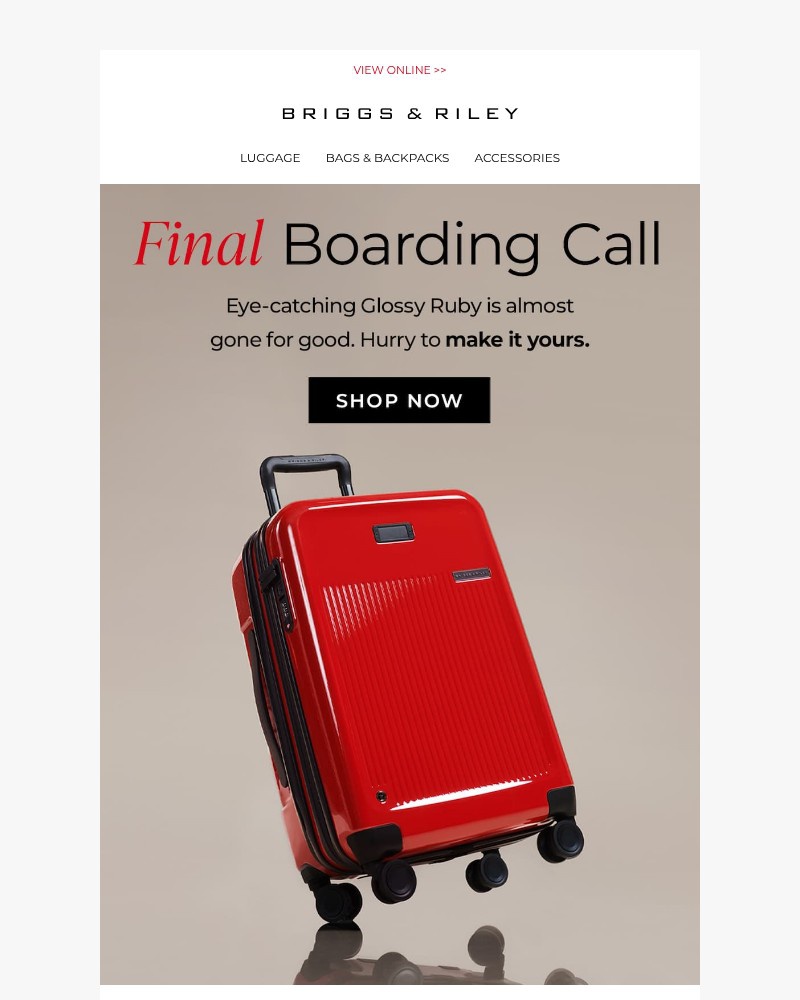 Screenshot of email sent to a Briggs & Riley Newsletter subscriber