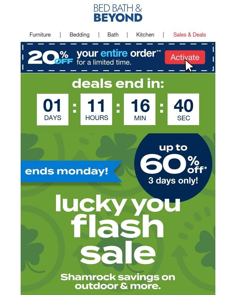 Screenshot of email with subject /media/emails/hurry-lucky-you-flash-sale-ends-tomorrow-46ed86-cropped-654ebd66.jpg