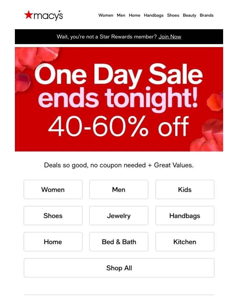Screenshot of email with subject /media/emails/hurry-our-one-day-sale-ends-tonight-1b7a74-cropped-e3693b09.jpg