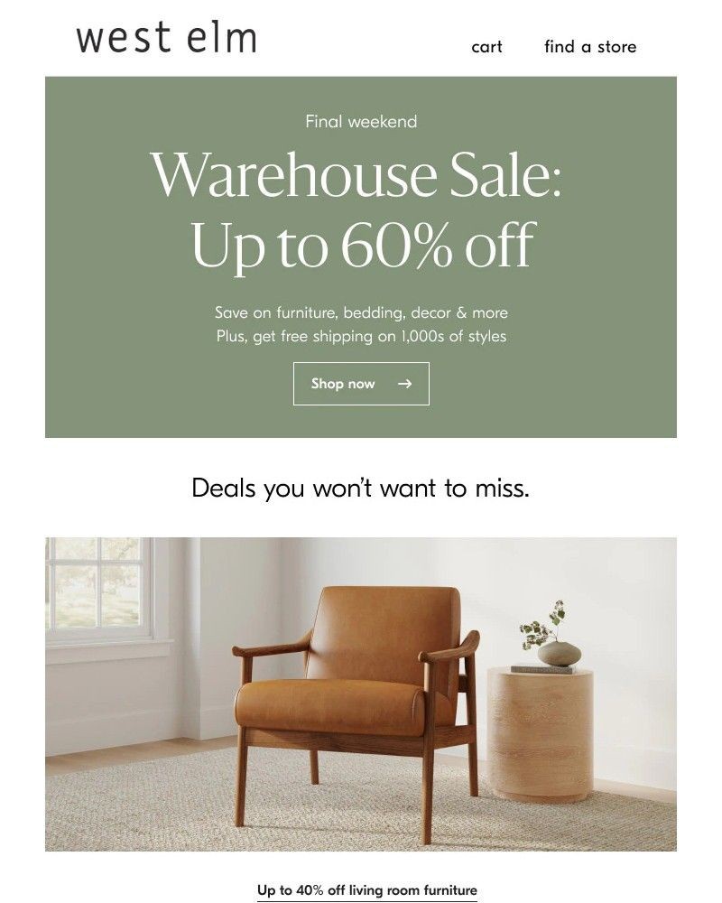 Screenshot of email with subject /media/emails/hurry-our-warehouse-sale-ends-soon-80c1ff-cropped-0975d0ef.jpg