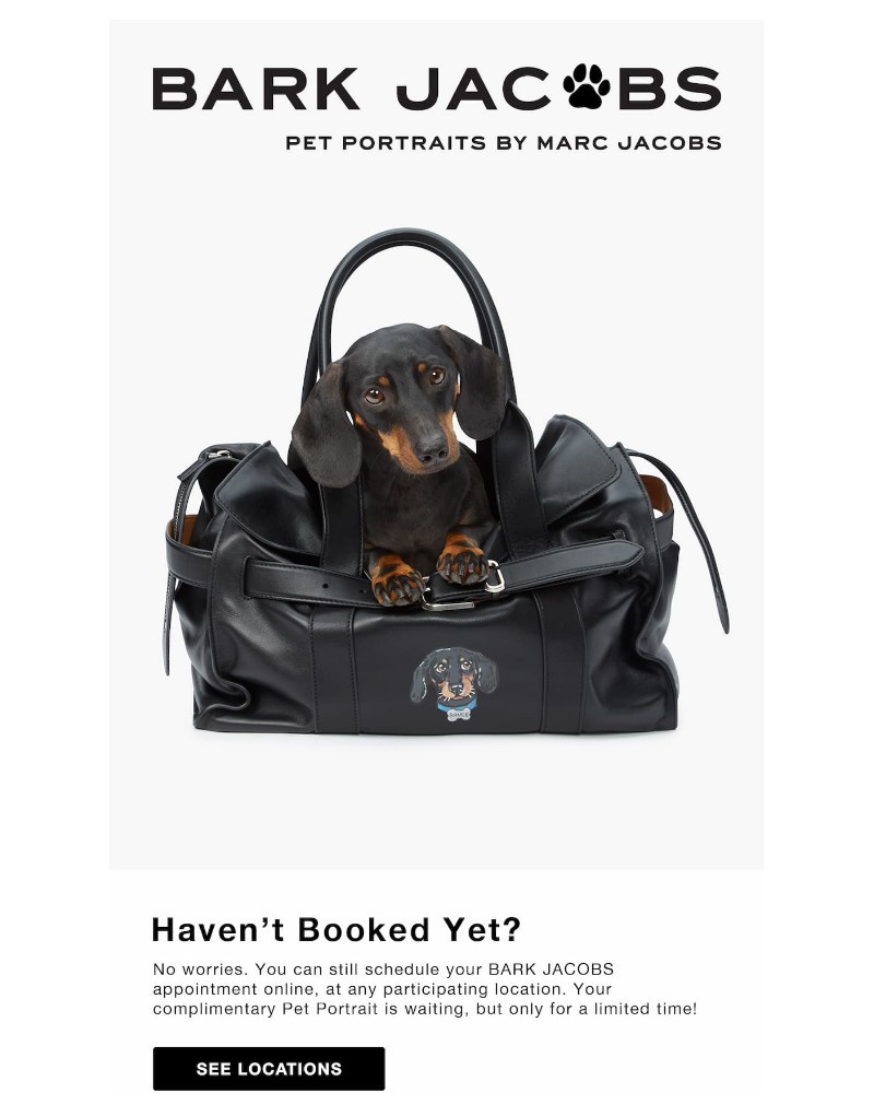 Screenshot of email with subject /media/emails/hurry-pet-portrait-slots-are-almost-gone-9a88d4-cropped-746e12ae.jpg