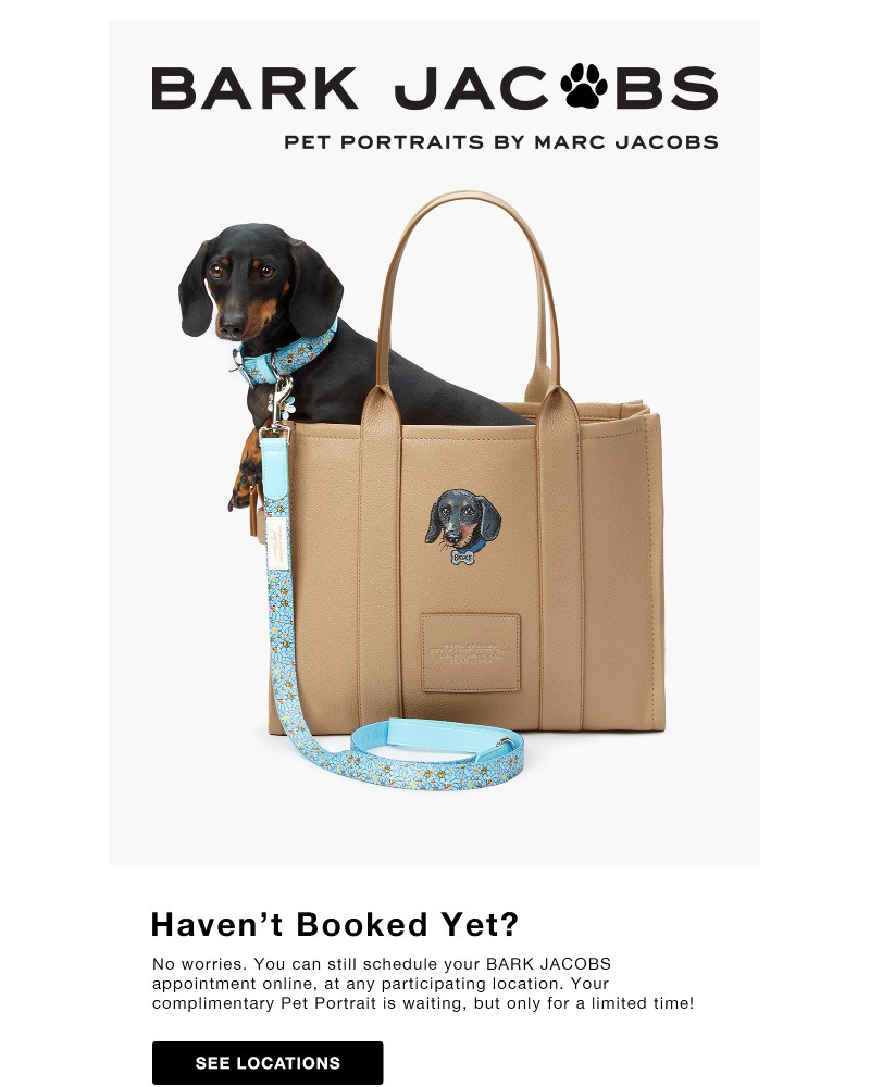 Screenshot of email with subject /media/emails/hurry-pet-portrait-slots-are-almost-gone-b7348f-cropped-447072b1.jpg