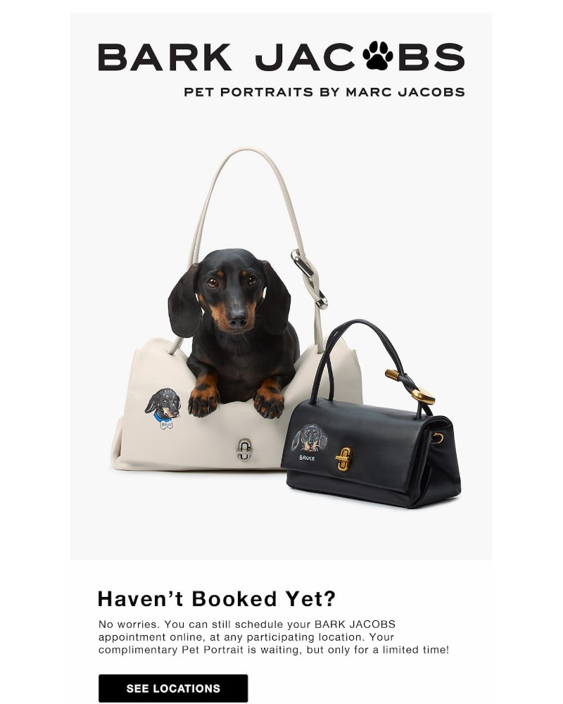 Screenshot of email with subject /media/emails/hurry-pet-portrait-slots-are-almost-gone-d78a07-cropped-eb00d091.jpg