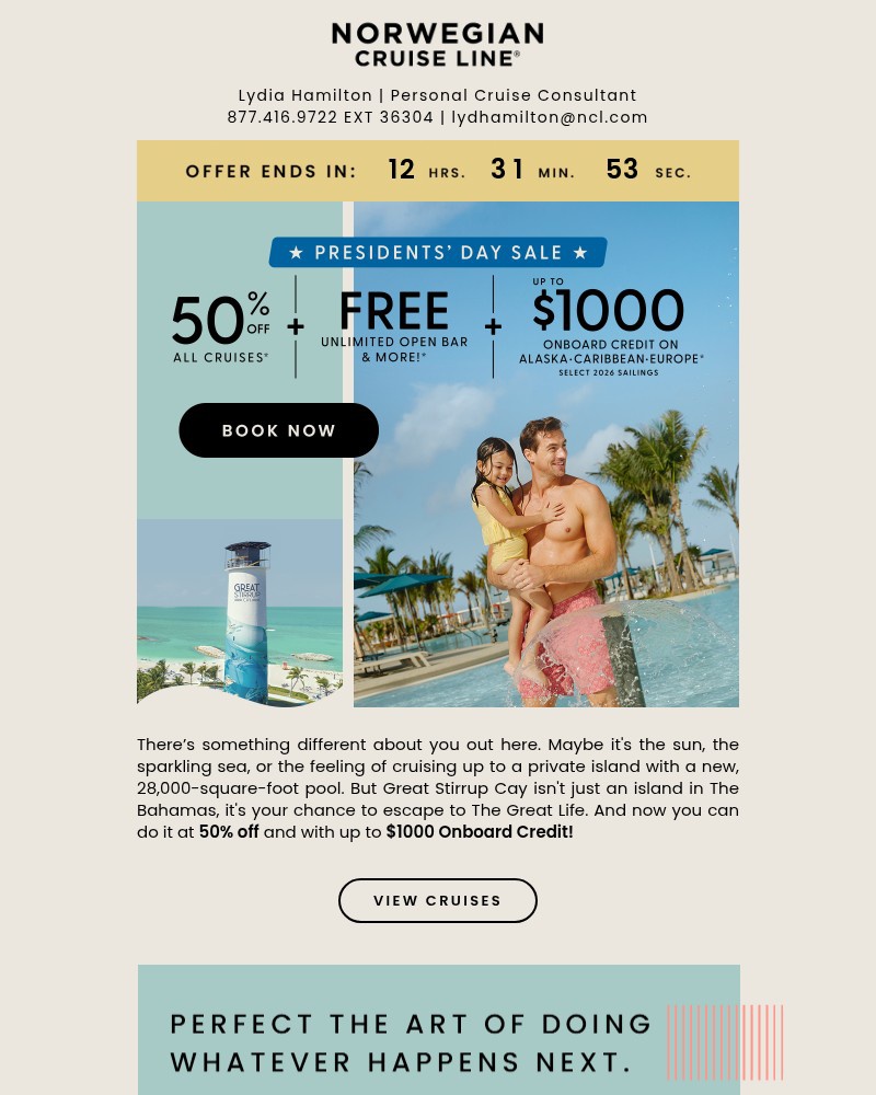 Screenshot of email with subject /media/emails/hurry-presidents-day-sale-ends-soon-d41520-cropped-e2066ab7.jpg