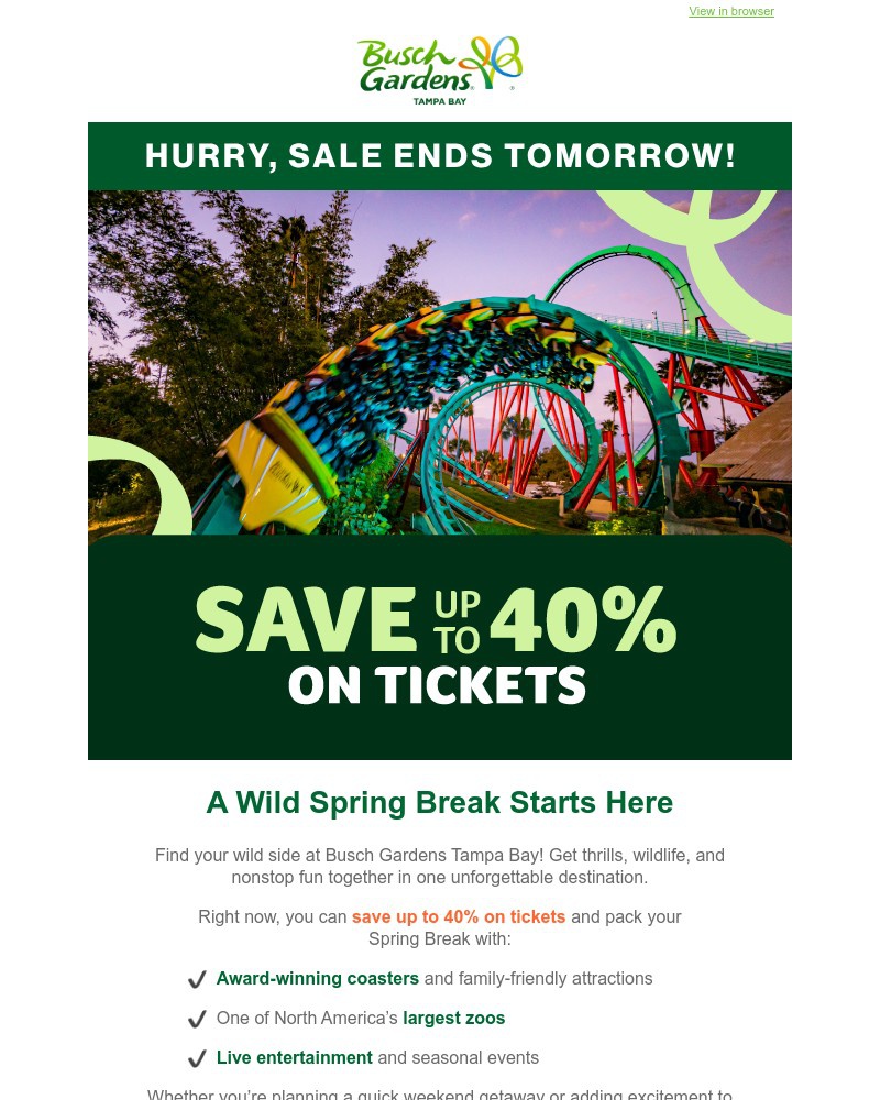 Screenshot of email sent to a Busch Gardens Newsletter subscriber