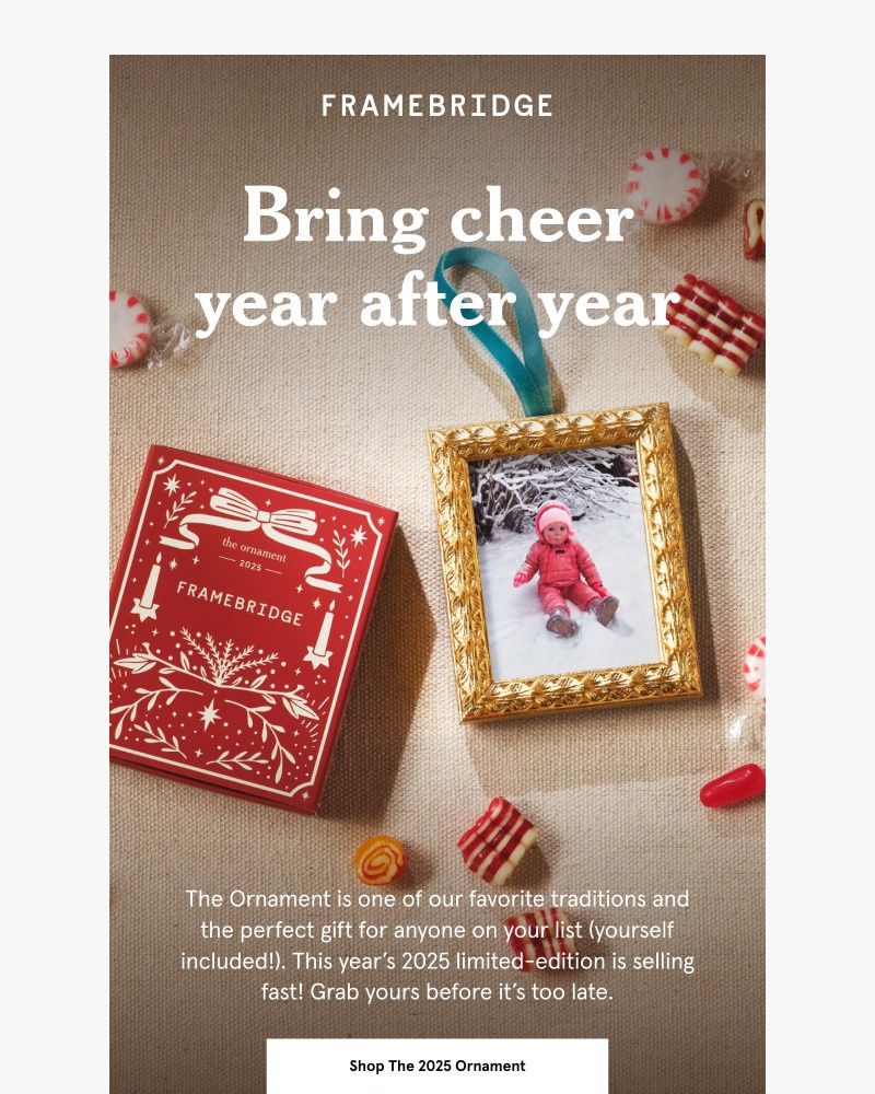 Screenshot of email with subject /media/emails/hurry-the-ornament-is-selling-fast-bf21c3-cropped-f3084264.jpg