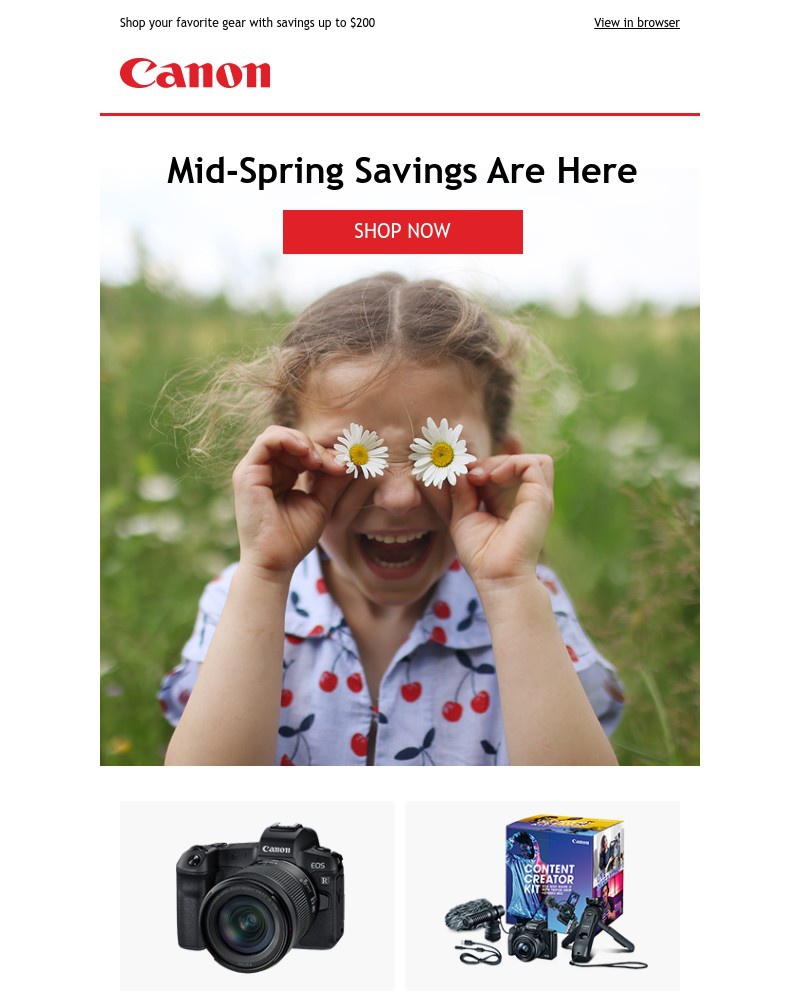 Screenshot of email with subject /media/emails/hurry-were-having-a-sale-5fa60b-cropped-786b99db.jpg