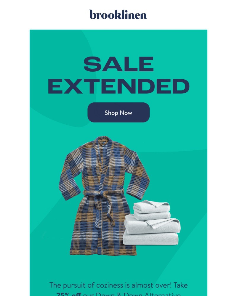 Screenshot of email with subject /media/emails/hurry-weve-extended-our-presidents-day-sale-3334d1-cropped-a2c0f71b.jpg