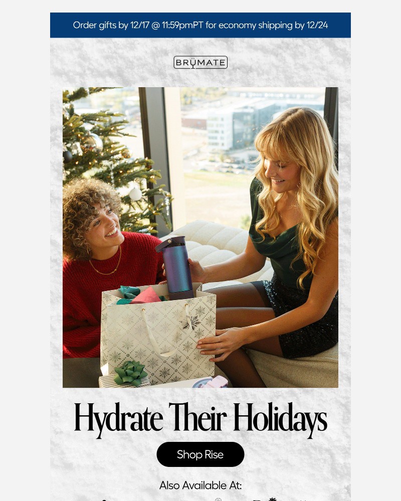 Screenshot of email with subject /media/emails/hydrate-their-holidays-291e2e-cropped-c7af4d81.jpg