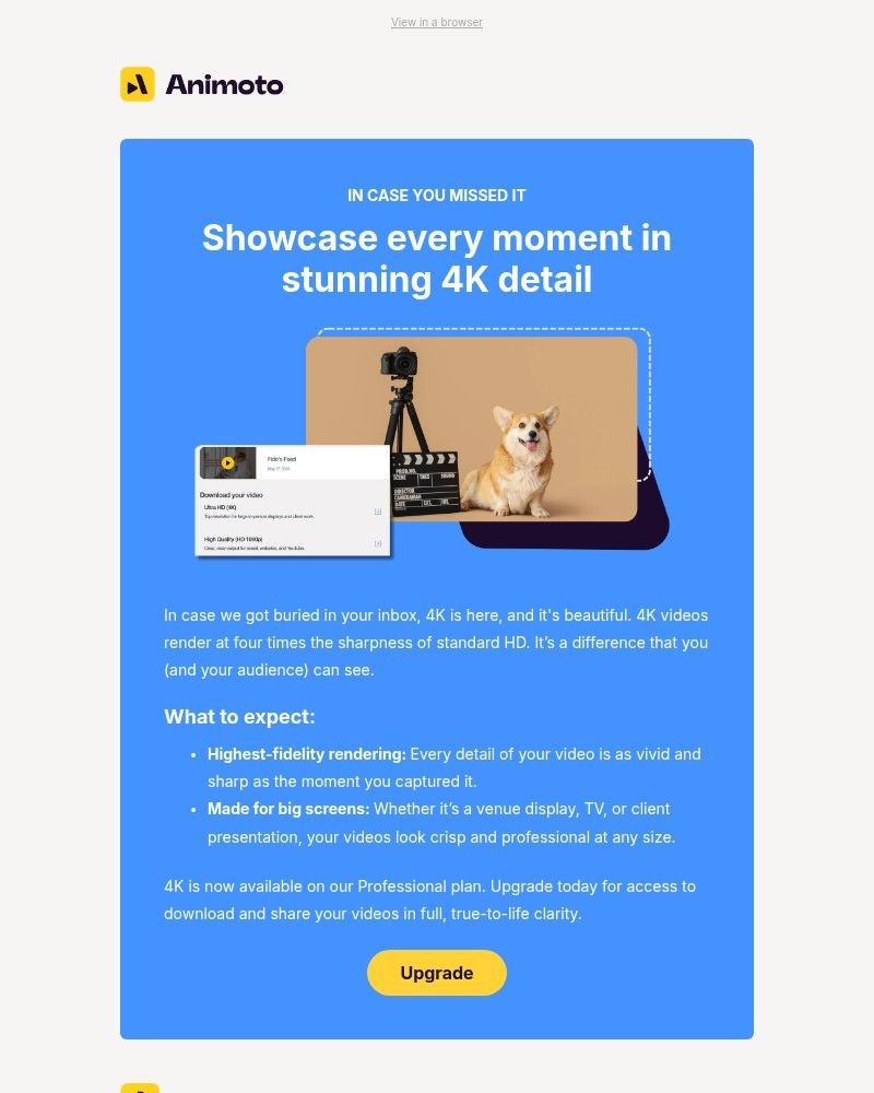 Screenshot of email with subject /media/emails/icmi-4k-video-is-here-781769-cropped-214e465e.jpg