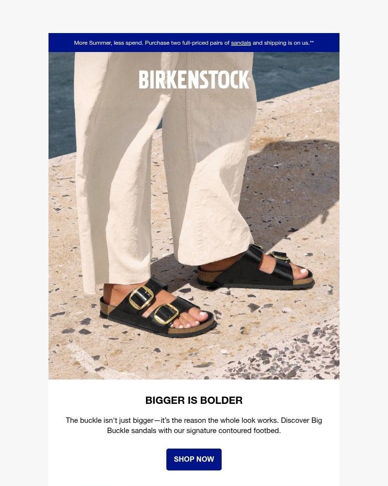 Screenshot of email with subject /media/emails/icons-from-the-big-buckle-collection-405ecb-cropped-b5ae0f3a.jpg