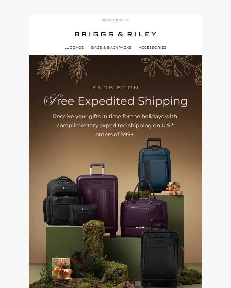 Screenshot of email with subject /media/emails/icymi-enjoy-free-expedited-shipping-632abf-cropped-d5ebeb45.jpg