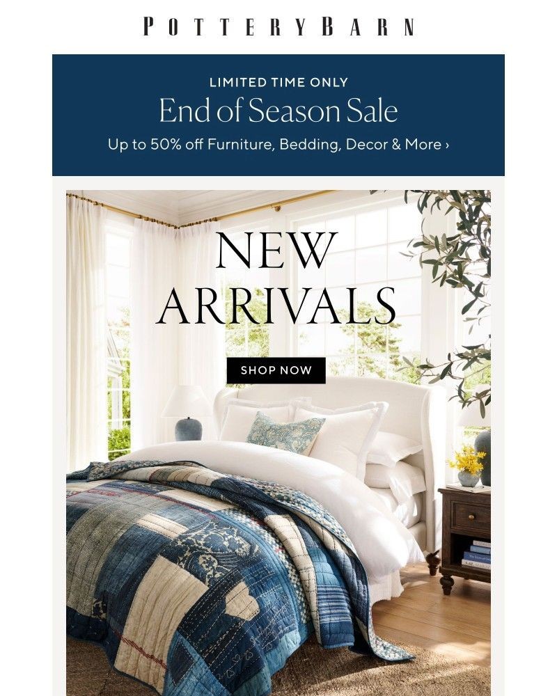 Screenshot of email with subject /media/emails/icymi-hundreds-of-new-arrivals-f2da19-cropped-c6bb3813.jpg