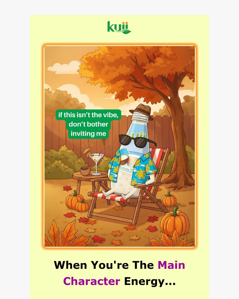 Screenshot of email sent to a Kuii Newsletter subscriber