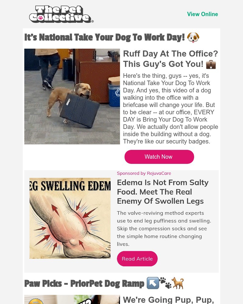 Screenshot of email with subject /media/emails/if-you-like-taking-your-dog-to-work-todays-your-lucky-day-1b04c4-cropped-10d109b1.jpg