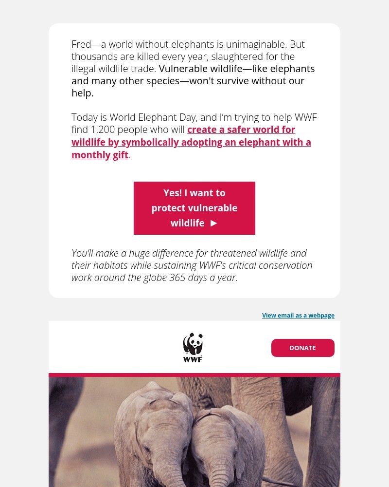 Screenshot of email with subject /media/emails/if-you-love-elephants-def0cd-cropped-254e130a.jpg
