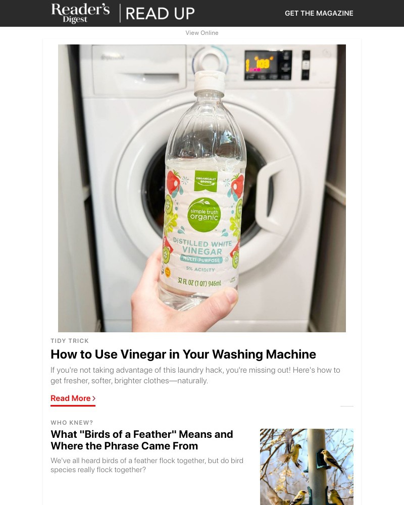 Screenshot of email with subject /media/emails/if-youre-not-using-vinegar-in-your-laundry-its-time-to-start-587f62-cropped-f934b8c6.jpg