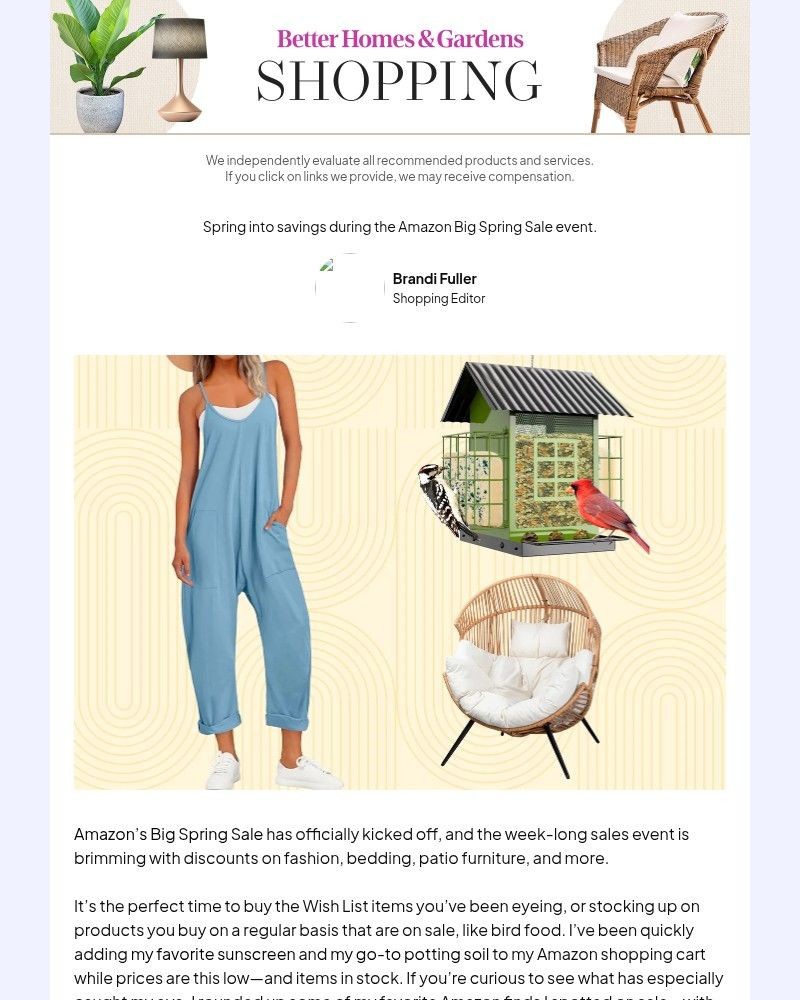 Screenshot of email with subject /media/emails/im-shopping-amazons-big-spring-saleheres-what-im-adding-to-my-cart-71aeef-cropped_zT9L04w.jpg