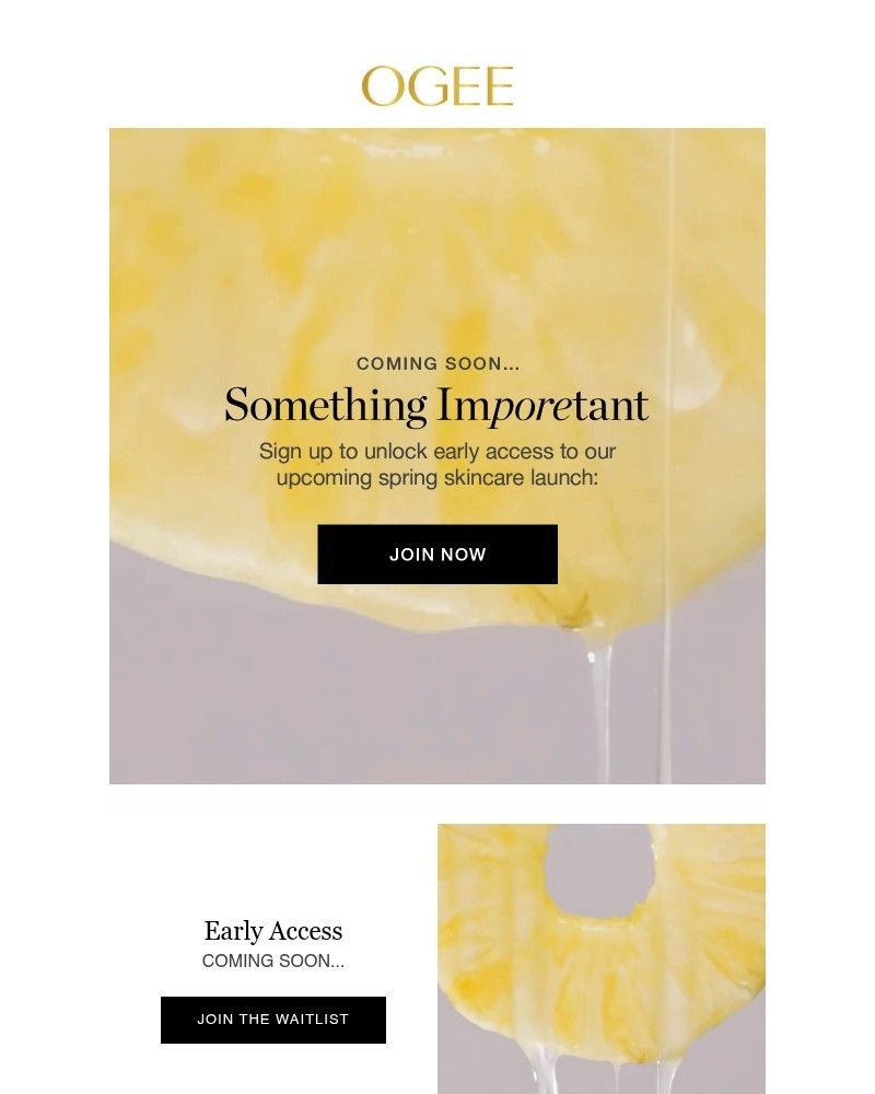 Screenshot of email sent to a Ogee Newsletter subscriber