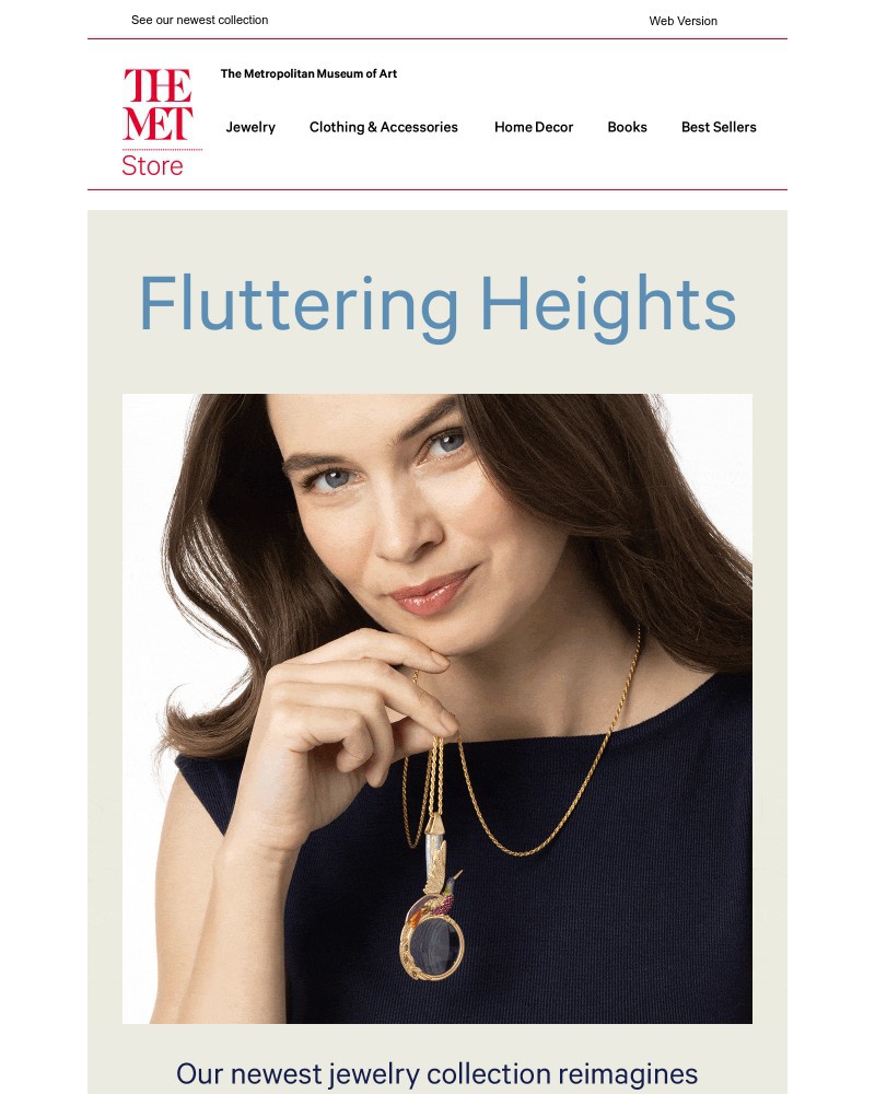 Screenshot of email with subject /media/emails/in-flight-new-french-hummingbird-jewelry-41c206-cropped-a00613c5.jpg