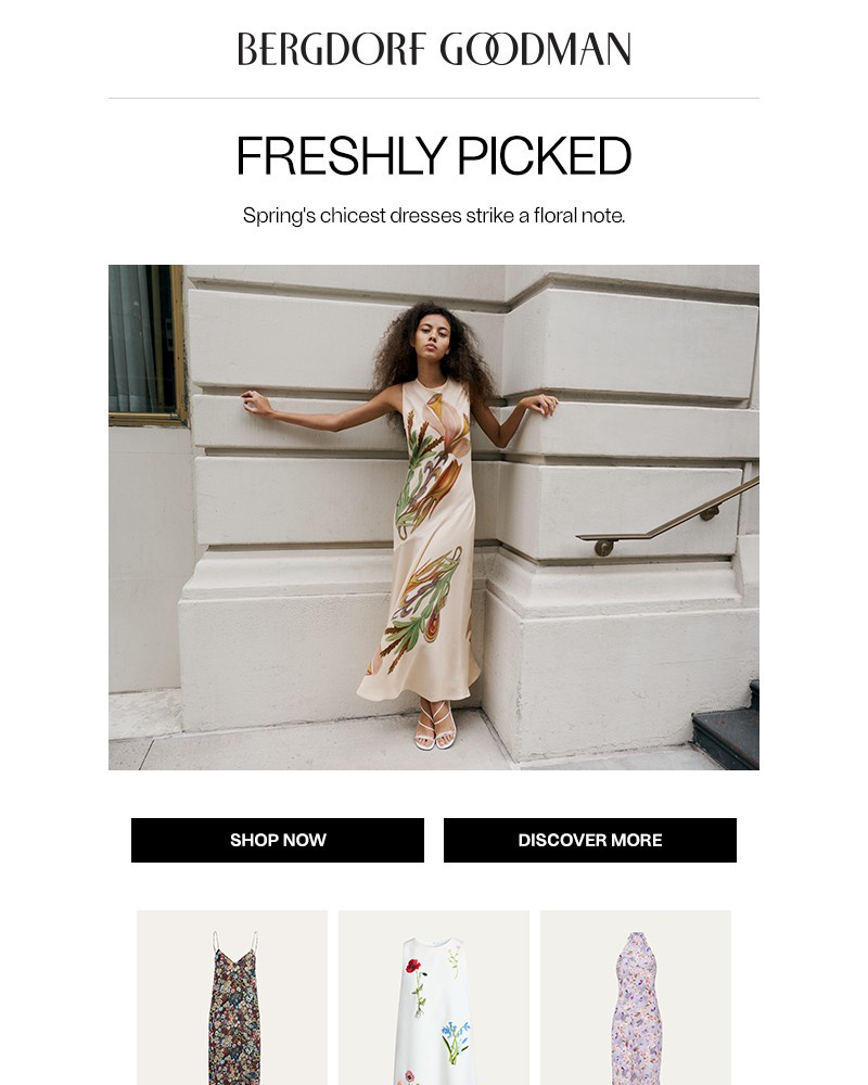 Screenshot of email with subject /media/emails/in-flower-spring-dresses-4924ff-cropped-963a50c2.jpg