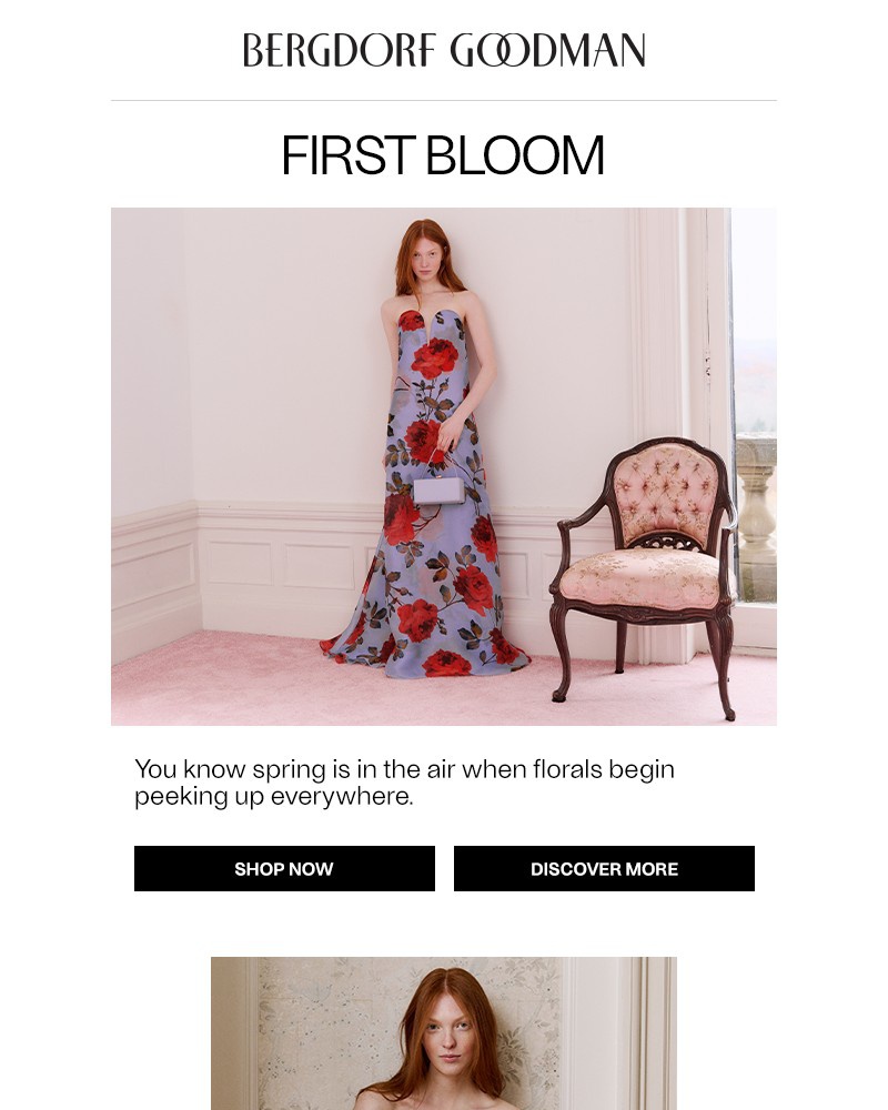 Screenshot of email with subject /media/emails/in-full-bloom-dd17c6-cropped-f5d983a4.jpg