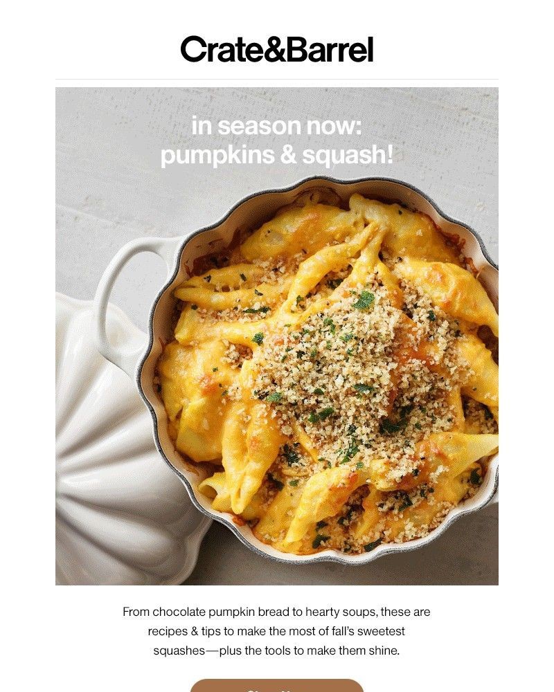 Screenshot of email with subject /media/emails/in-season-now-pumpkin-squash-0f5d28-cropped-e8f020d7.jpg