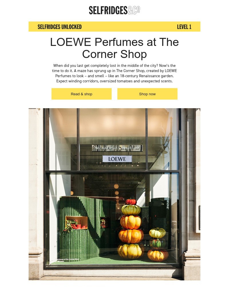 Screenshot of email with subject /media/emails/in-the-garden-of-loewe-perfumes-ea1b2c-cropped-c81fe9b0.jpg