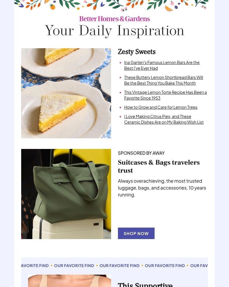 Screenshot of email with subject /media/emails/ina-gartens-famous-lemon-bars-are-the-best-ive-ever-had-cc23e2-cropped-c2bb4265.jpg